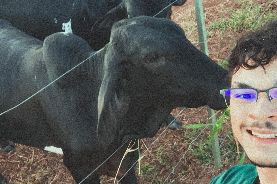 Vacas